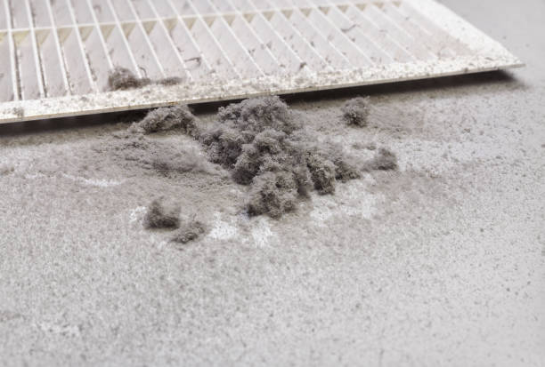 Best Ductwork Cleaning Services  in Elizabethton, TN